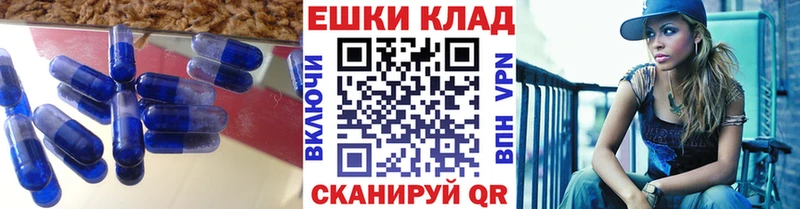 сайты даркнета телеграм  Томари  ЭКСТАЗИ ешки 